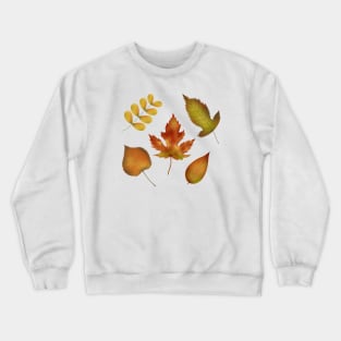 Autumn leaves Crewneck Sweatshirt